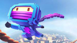 Ninja Up!